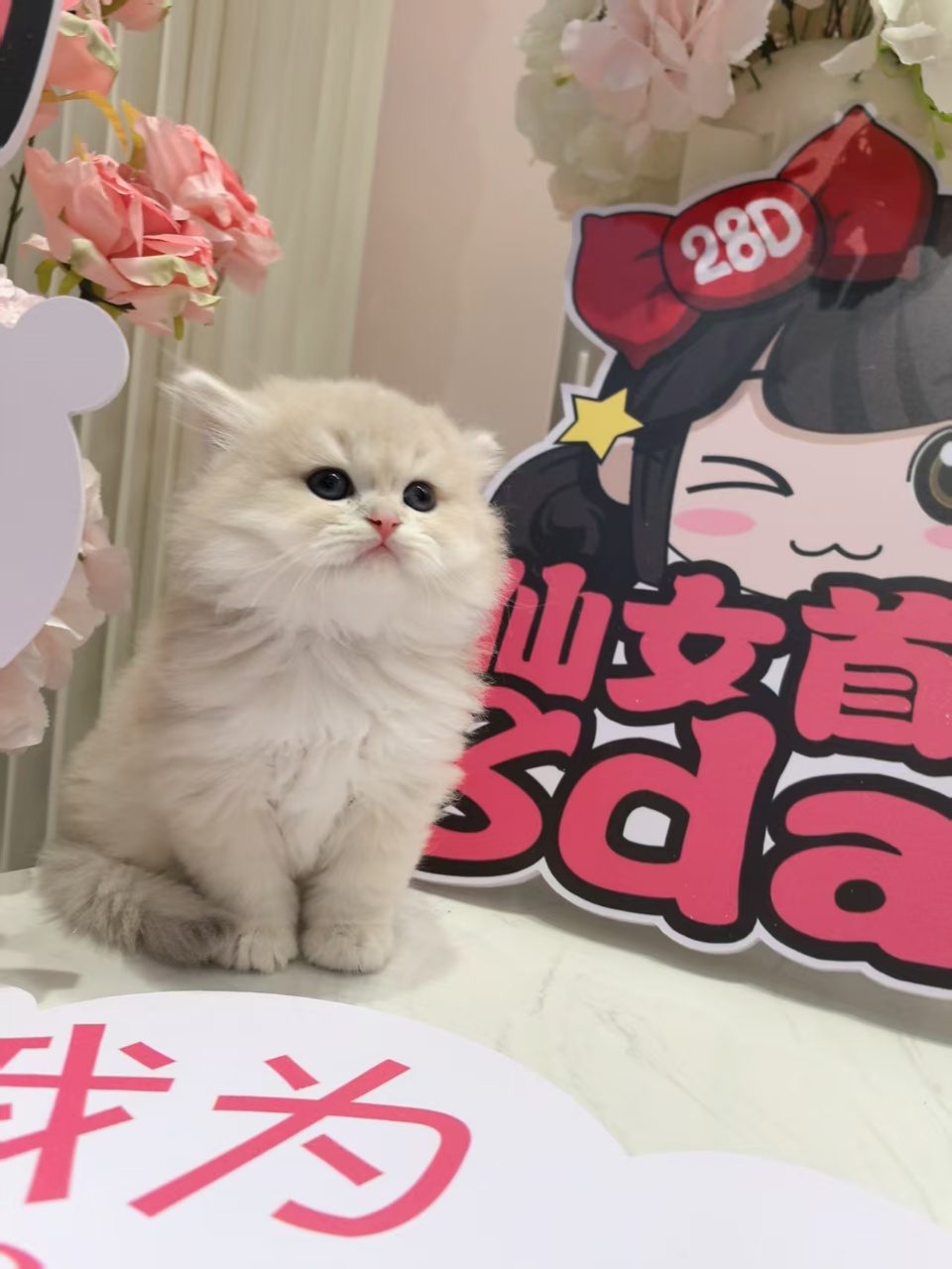 📷 小崽1