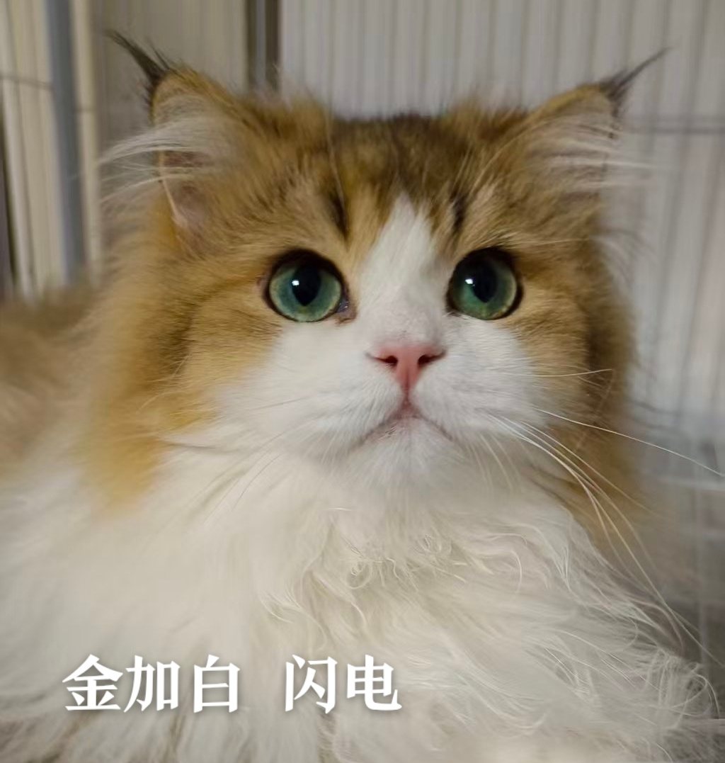 闪电