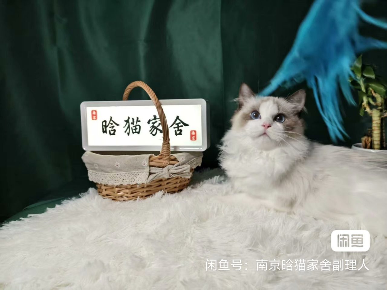 📷 小崽2